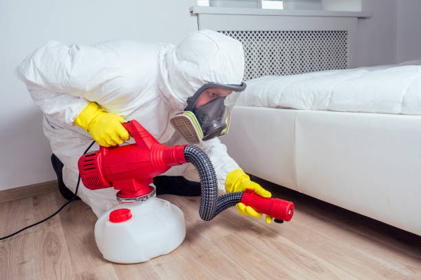 Best Flea Control Services  in Woodbridge, CA