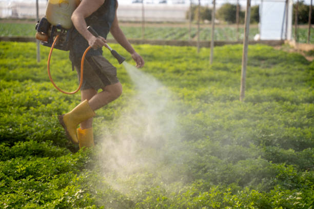 Wildlife Control Services in Woodbridge, CA