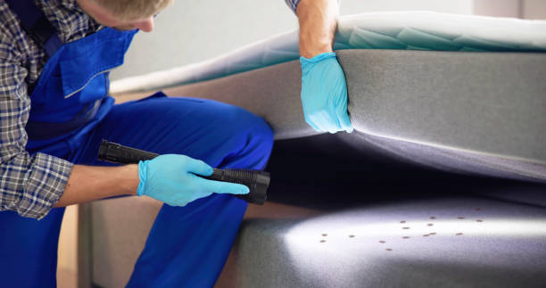 Best Pest Control for Homes  in Woodbridge, CA