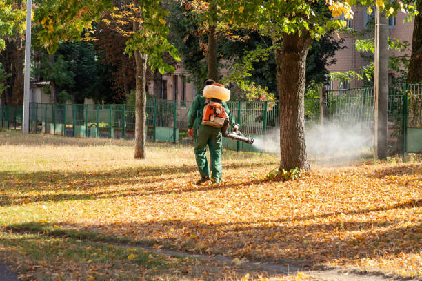 Best Mosquito Control Services  in Woodbridge, CA