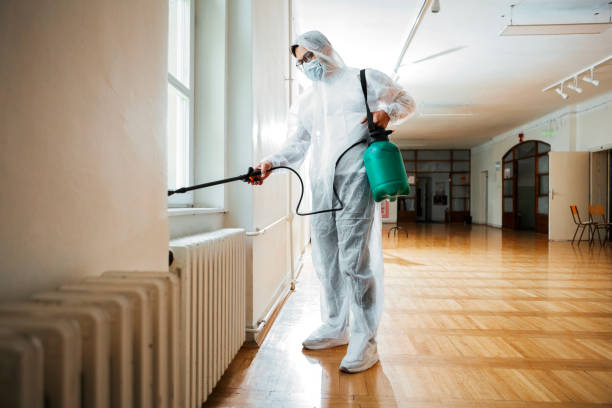 Best Best Pest Control Companies  in Woodbridge, CA