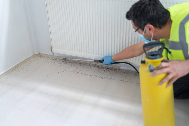 Best Local Pest Control Services  in Woodbridge, CA